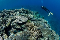 OLYMPUS DIGITAL CAMERA OLYMPUS DIGITAL CAMERA